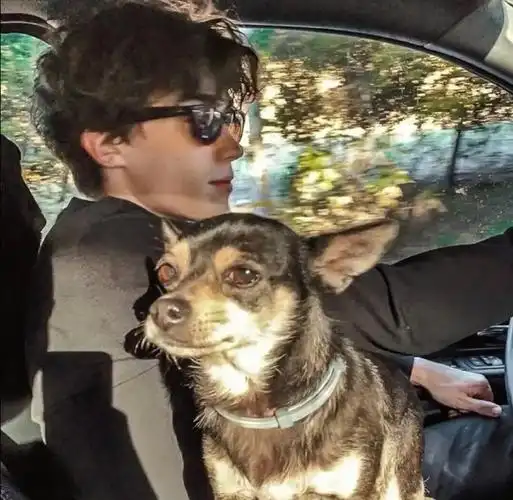 6686体育签约作者Benjamin