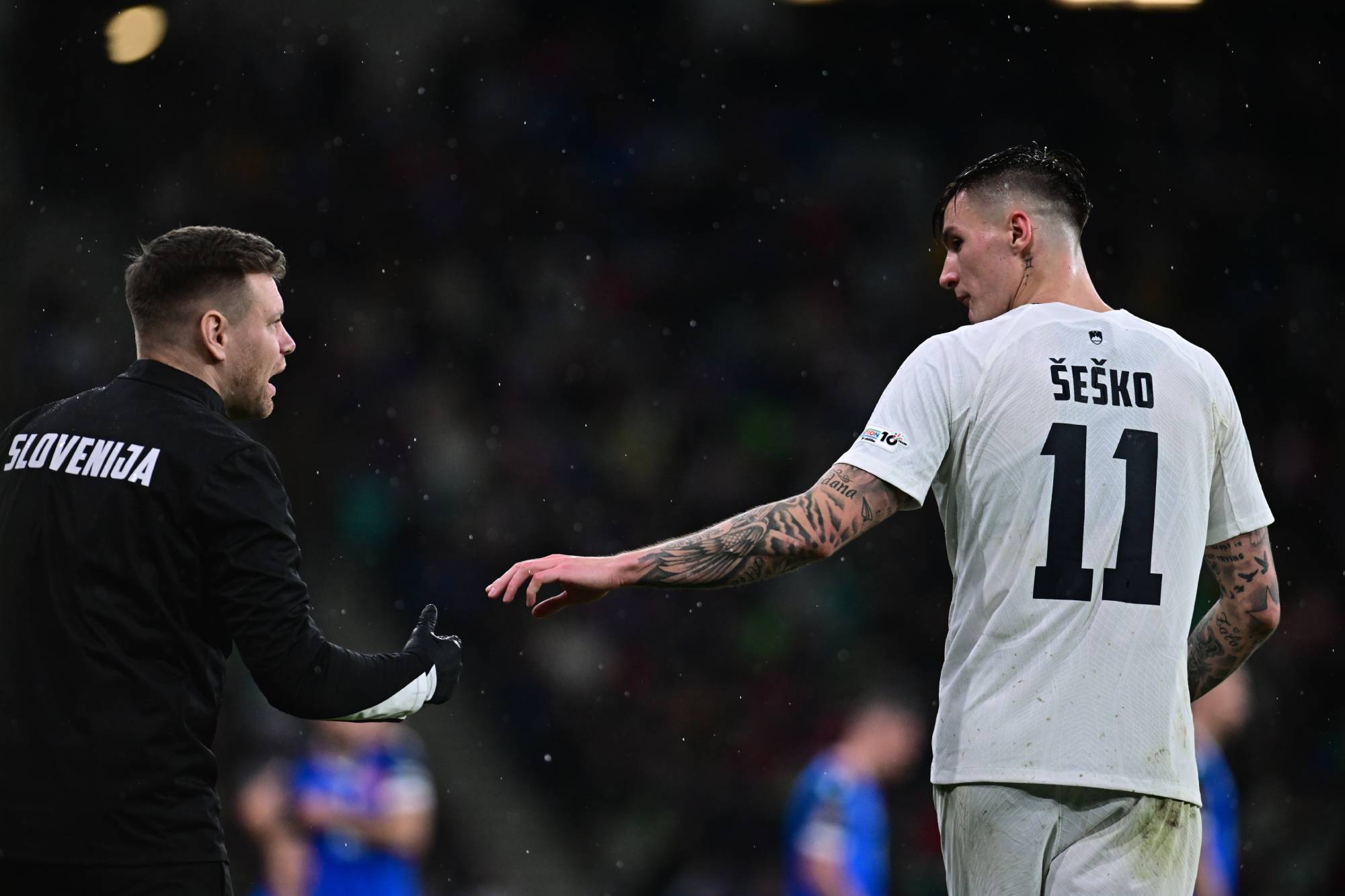 Представитель Словении: Сесешко не сможет участвовать в соревнованиях и тренироваться из-за травмы и пропустит отборочные матчи чемпионата мира в этом месяце