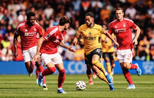 Ноттингем Форест против Вулвз