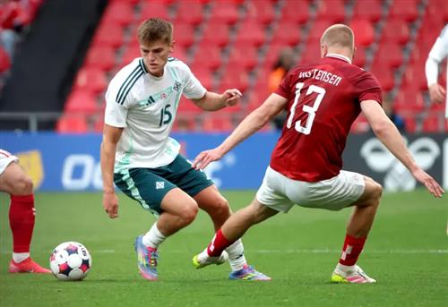 Дания против Северной Ирландии