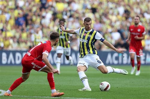 Нордзеландия против Фенербахче