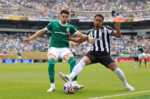 Палмейрас против Р.Дж. Ботафого